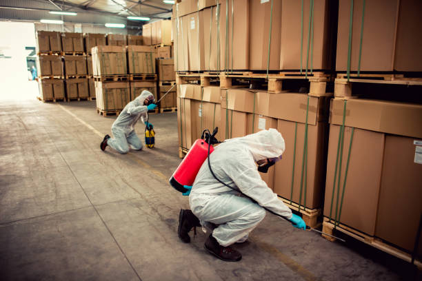 Best Emergency Pest Control  in New Windsor, MD
