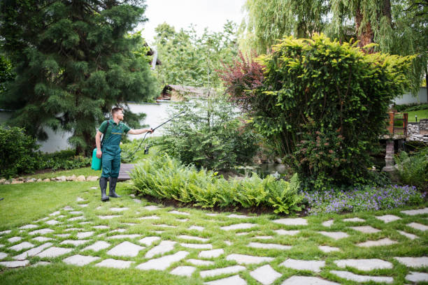 Best Pest Control Near Me in New Windsor, MD